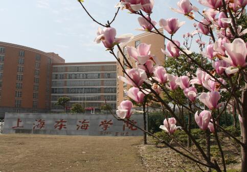 上海东海职业技术学院
