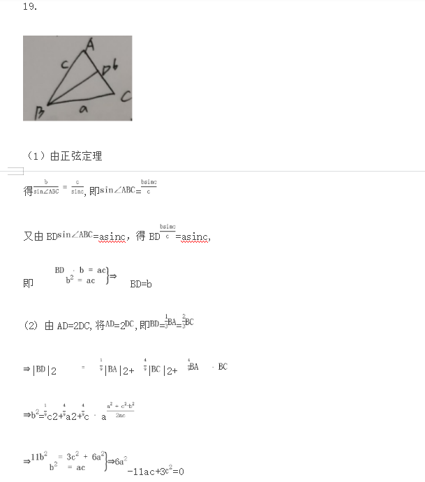 2021ɽ߿ѧ𰸣ȫ¸߿