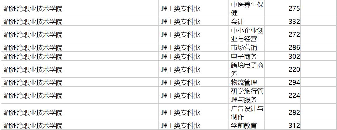 湄洲湾职业技术学院2020年福建专业录取分