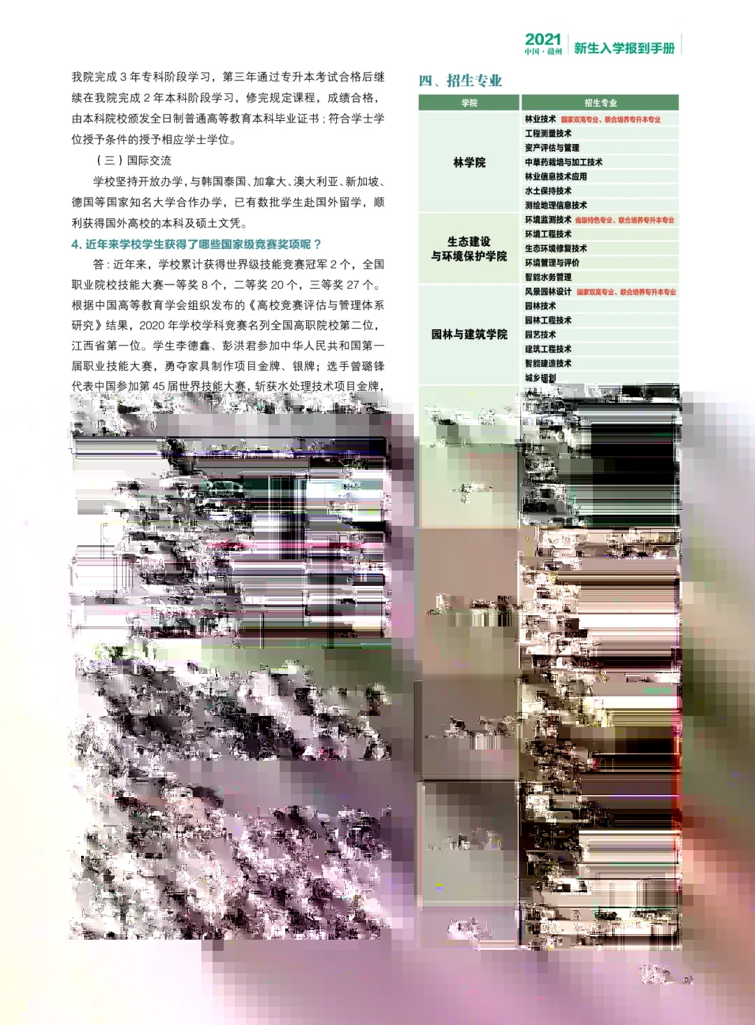 ְҵѧԺ2021ֲ
