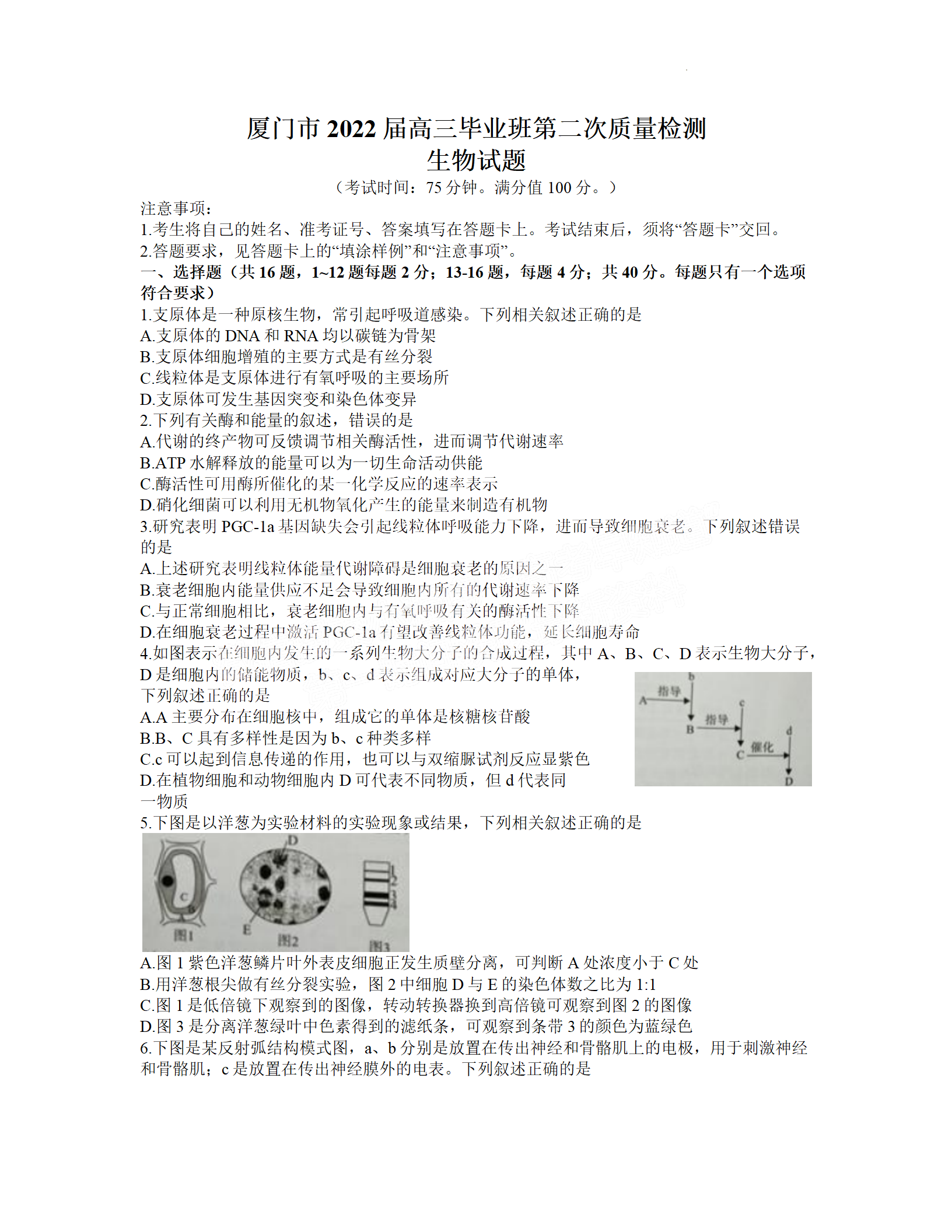 2022年3月厦门高三市质检生物试卷及答案 2022年3月厦门高三市质检生物试卷及答案