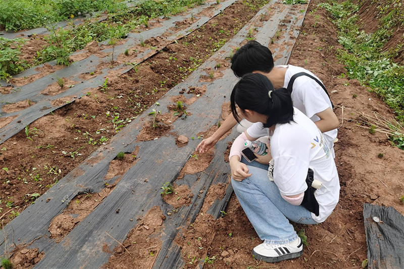 【实践育人】内江师范学院2022年暑期“三下乡”社会实践活动火热进行中