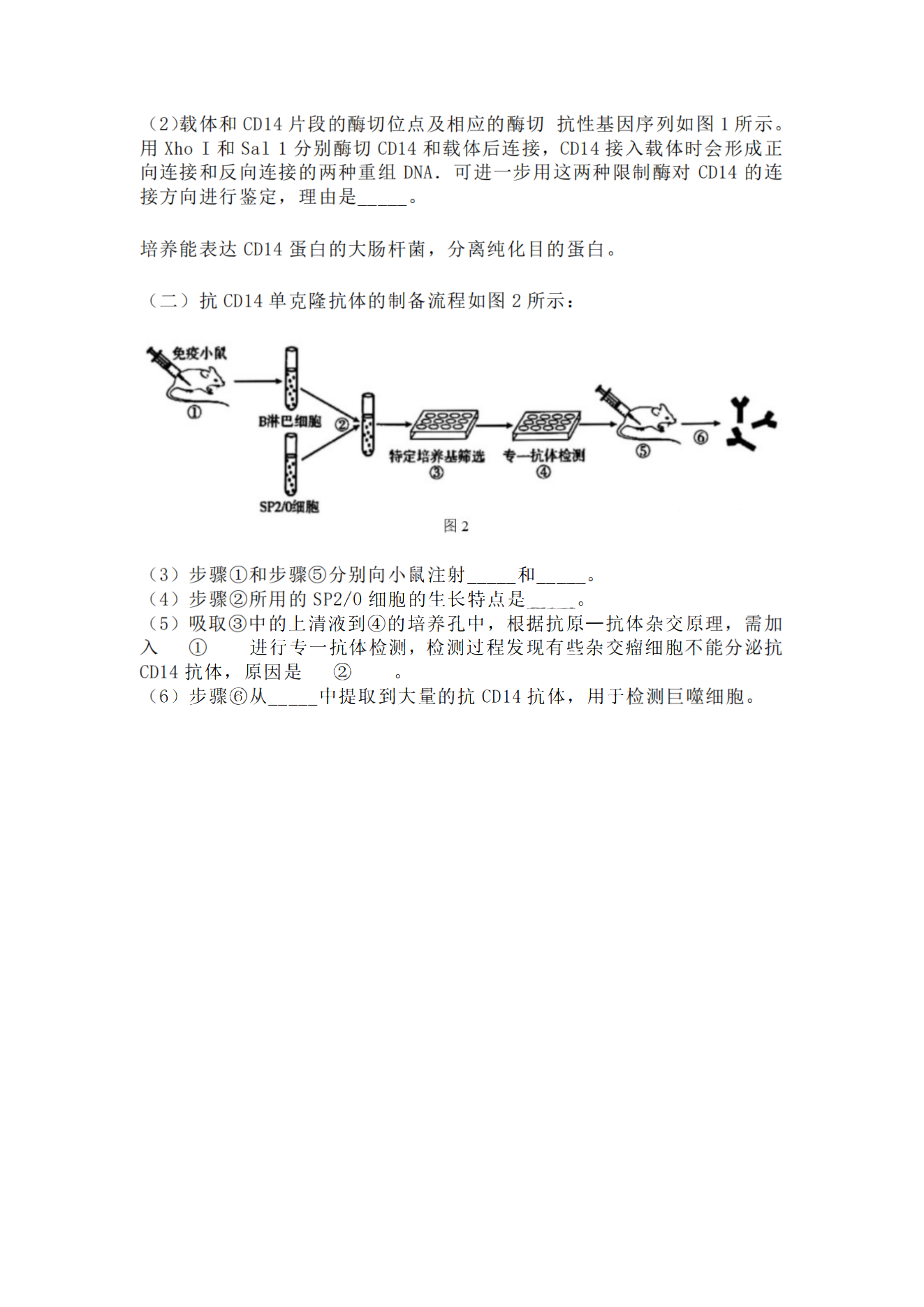2023긣߿
