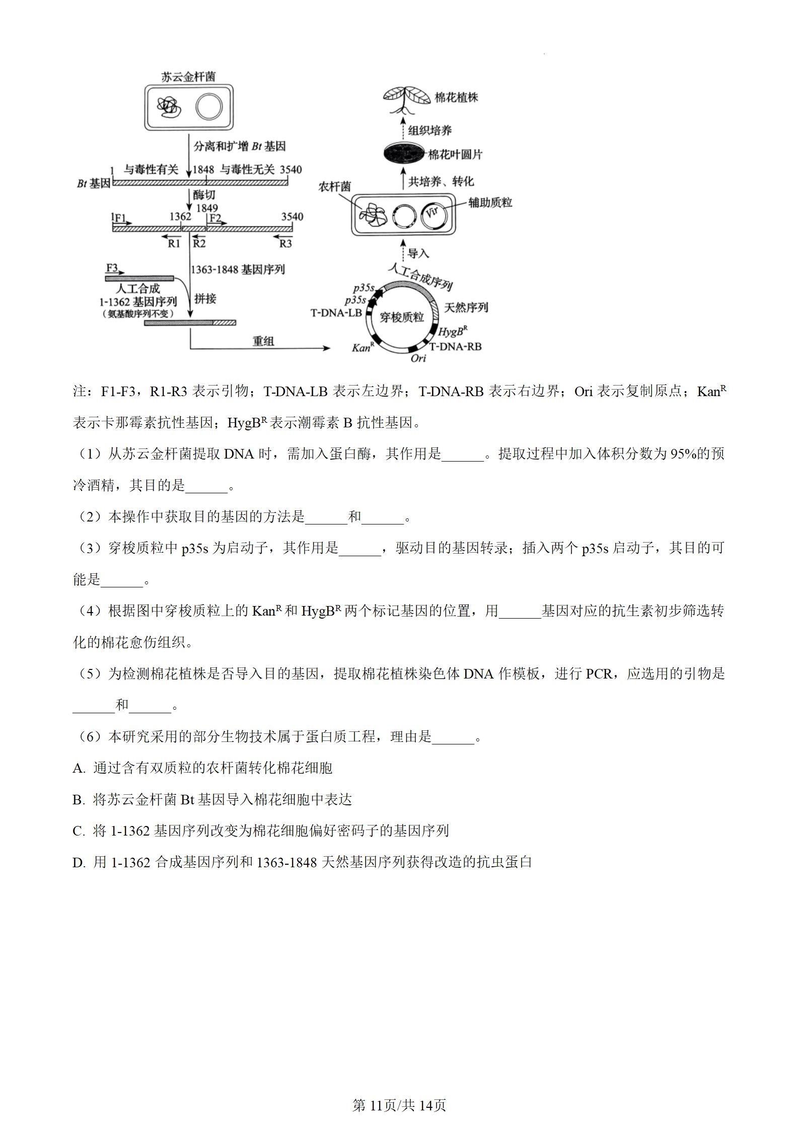 2024年辽宁高考生物答案 2024年辽宁高考生物答案