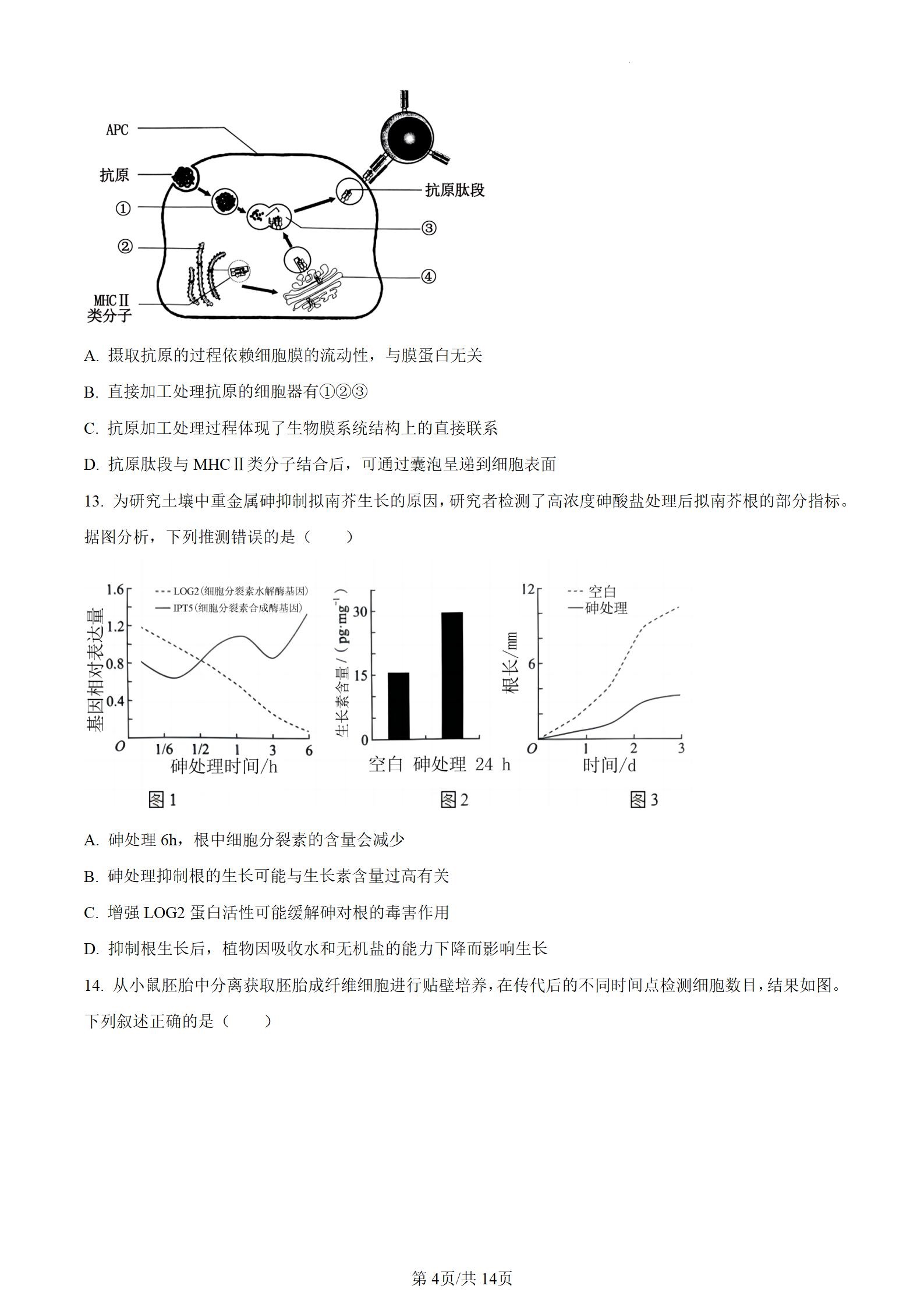 2024年辽宁高考生物答案 2024年辽宁高考生物答案