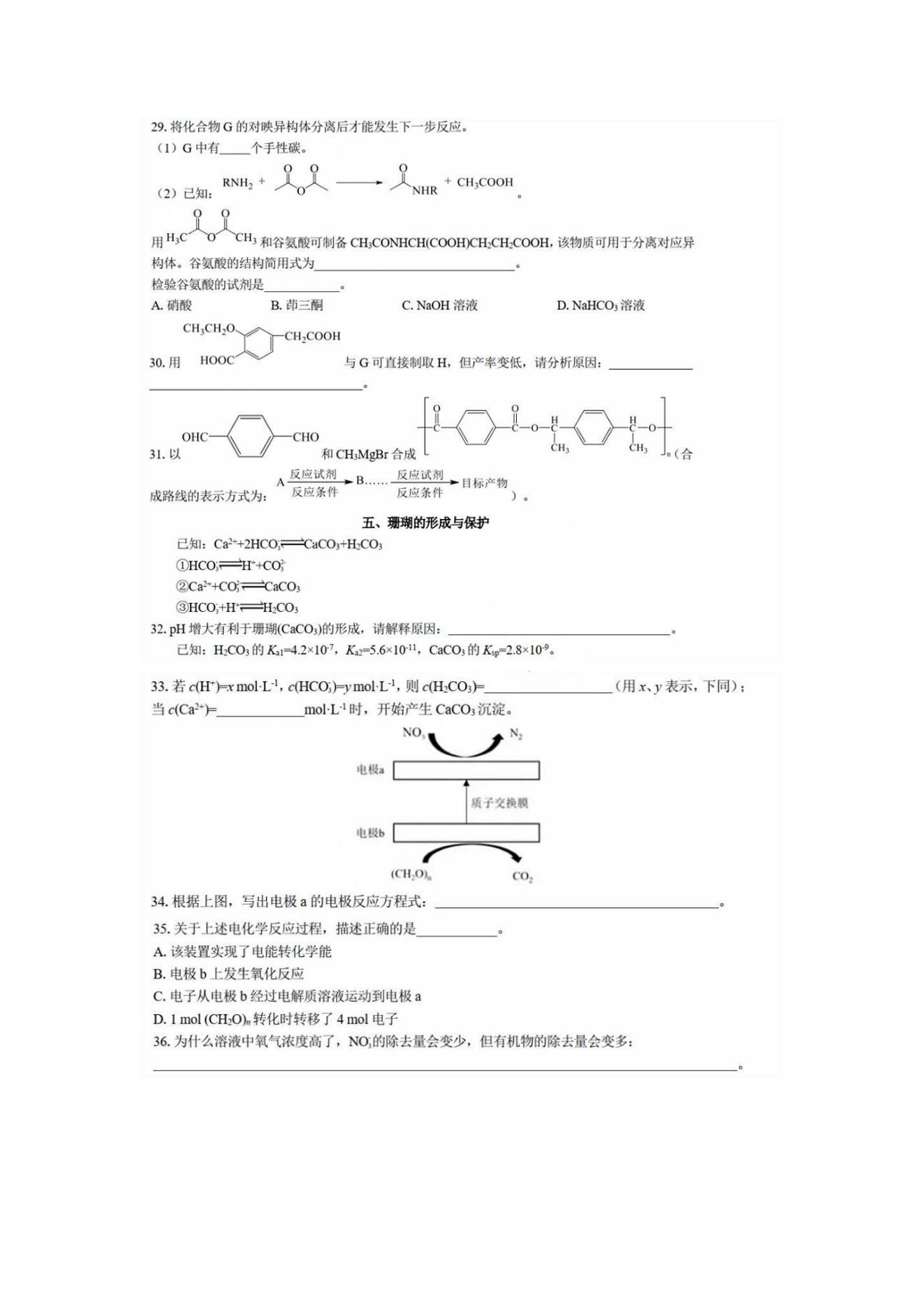 2024Ϻ߿ѧ