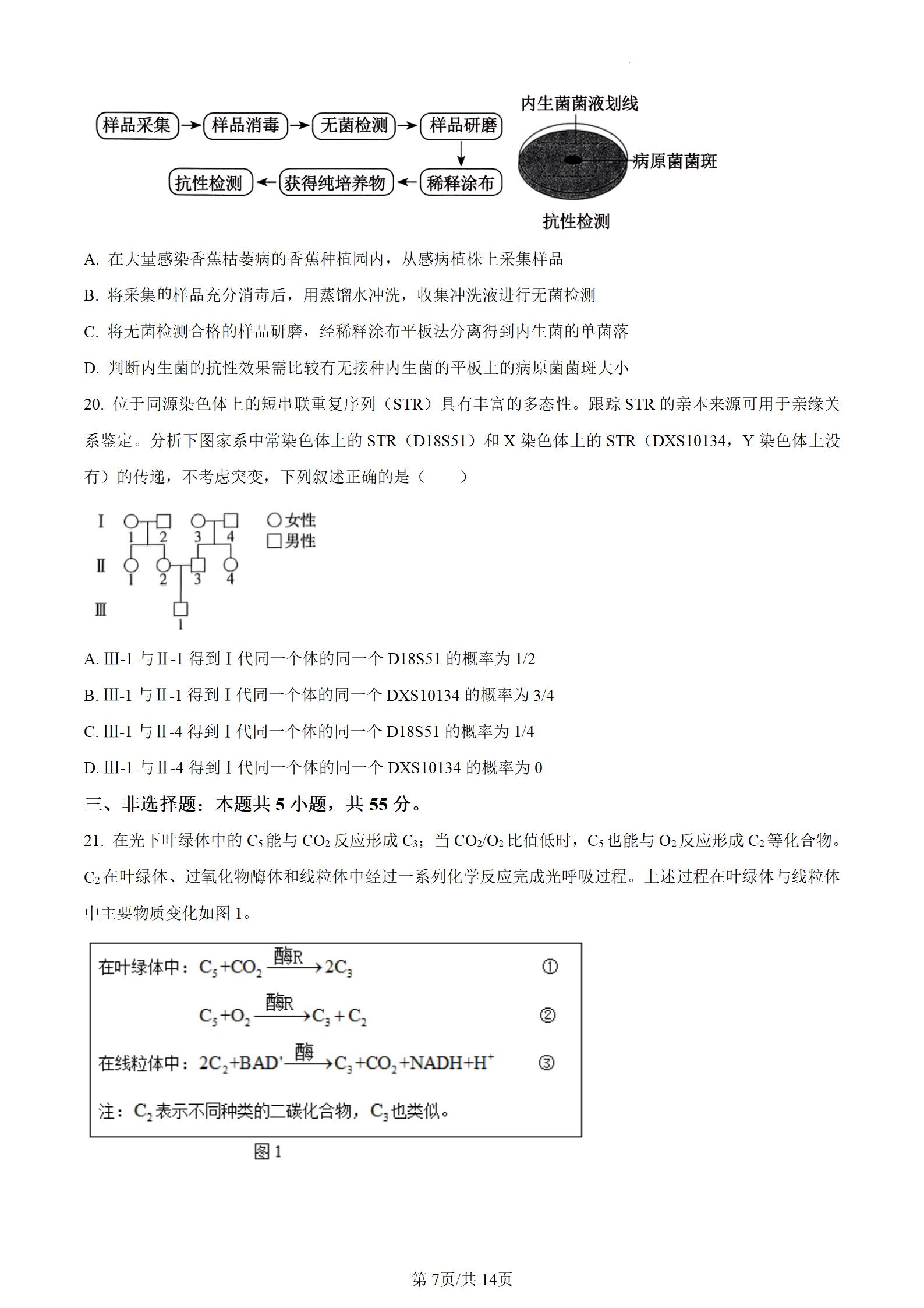2024年辽宁高考生物答案 2024年辽宁高考生物答案