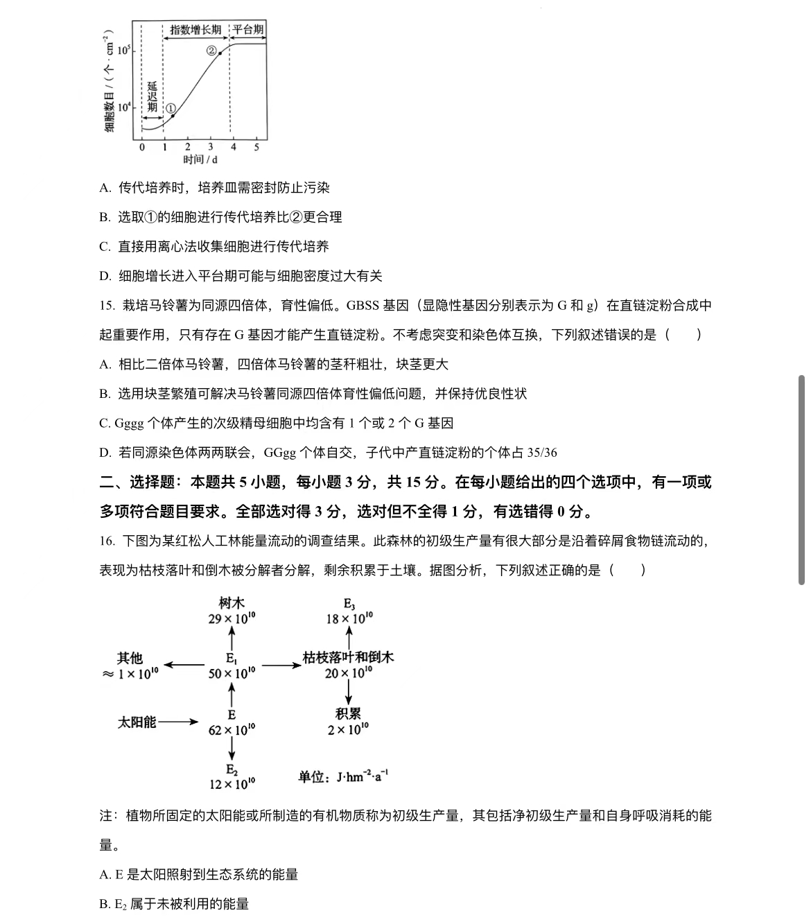 2024꼪ָ߿
