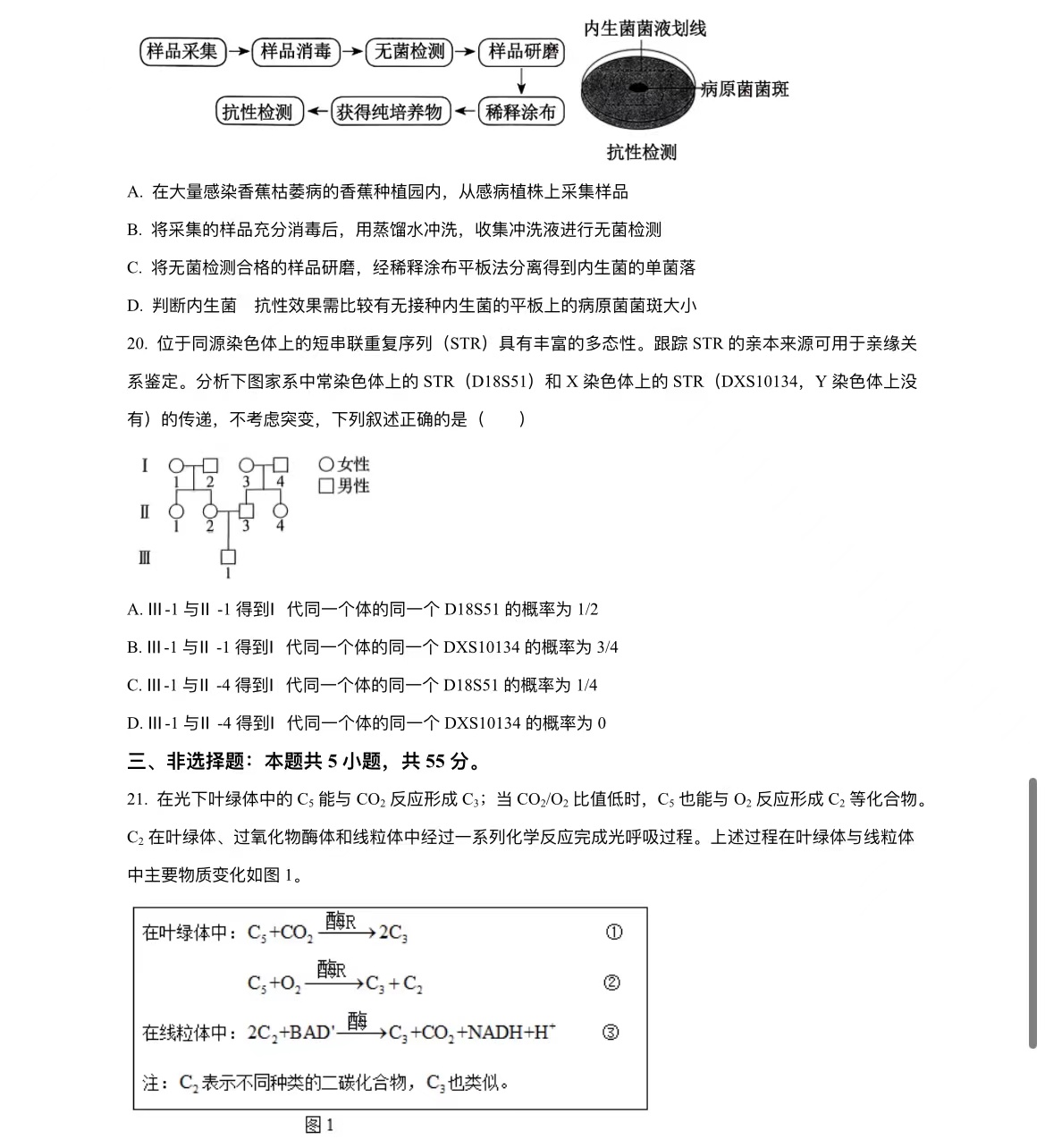 2024꼪ָ߿