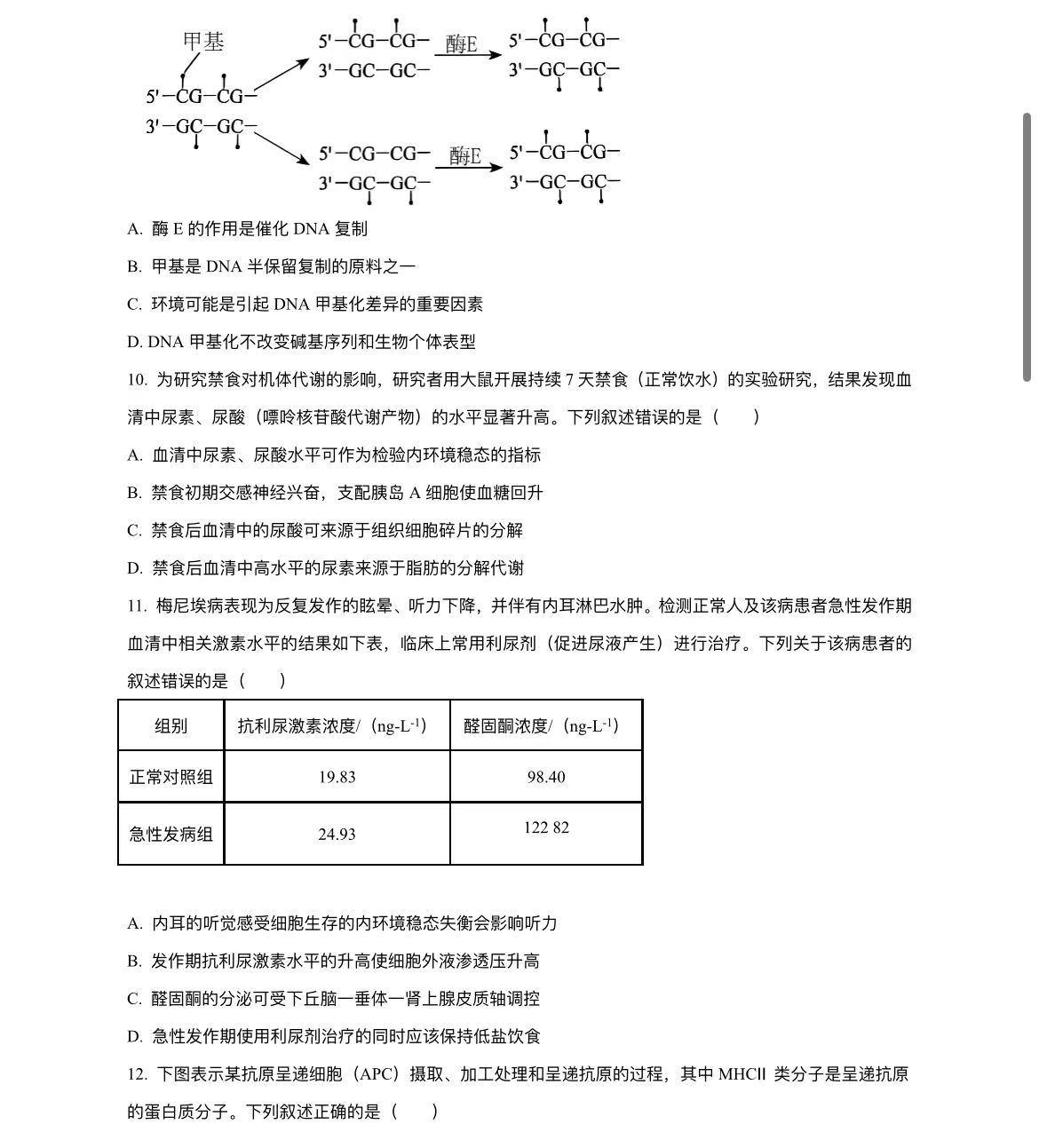 2024꼪ָ߿