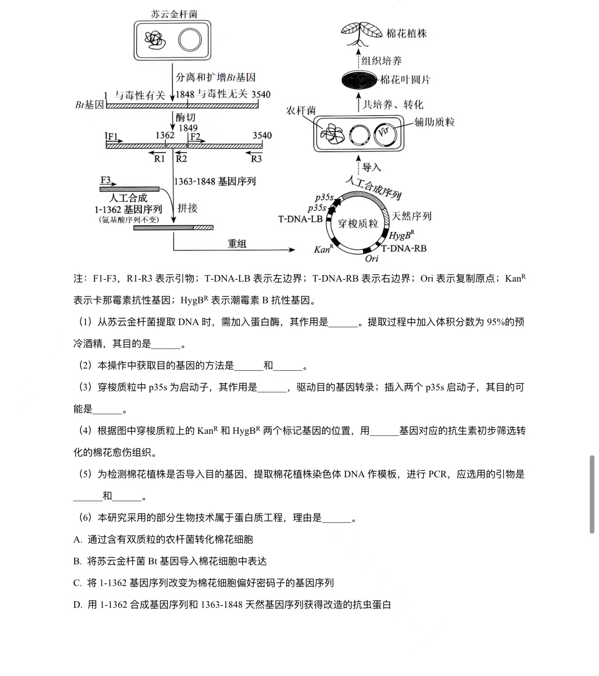 2024年黑龙江高考生物真题 2024年黑龙江高考生物真题