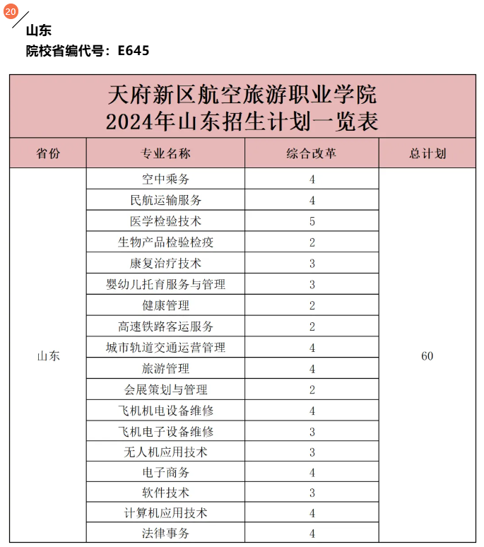 츮ְҵѧԺ2024ɽʡƻ