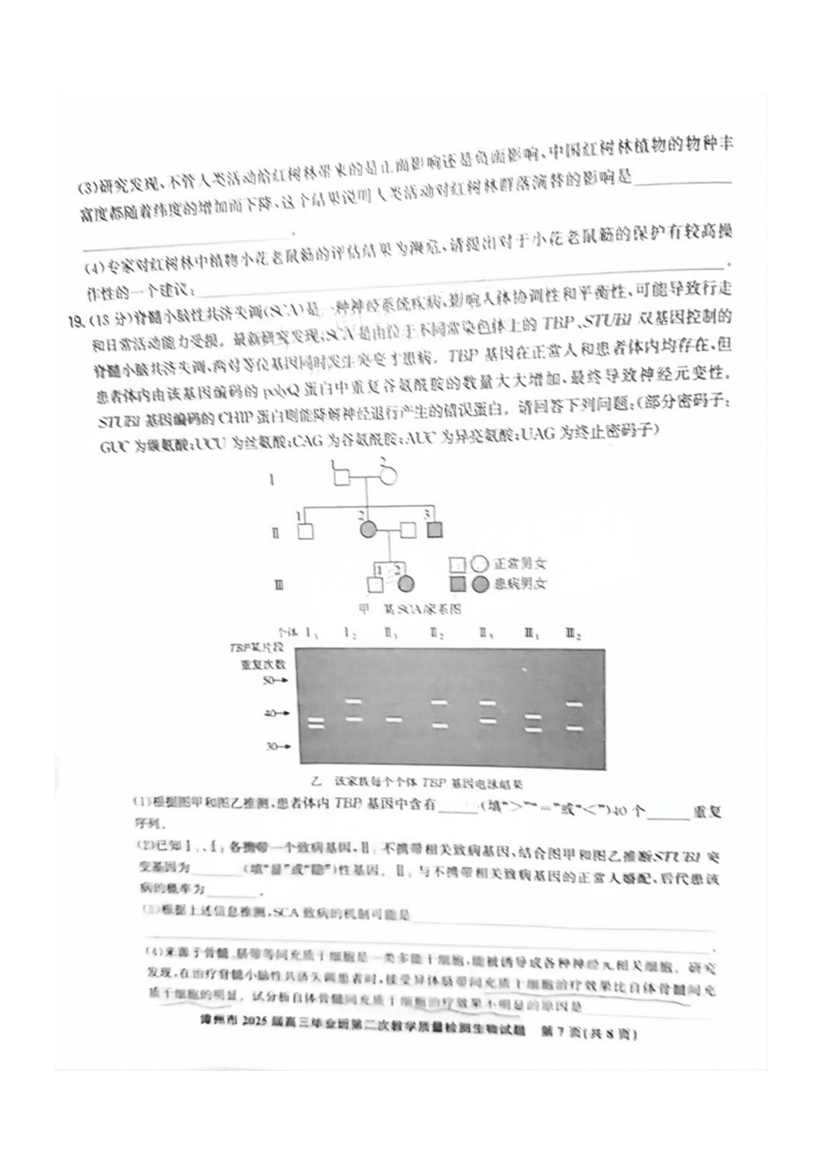 2025ݶ죨1.20-1.21⼰ο