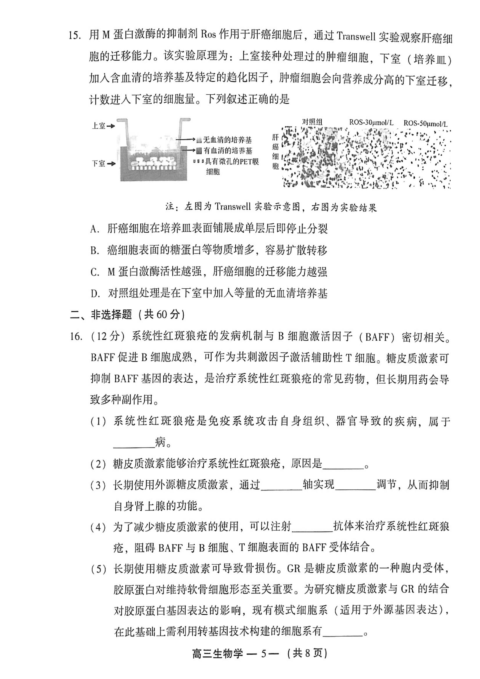 2025긣ݸ죨27-9գ⼰ο