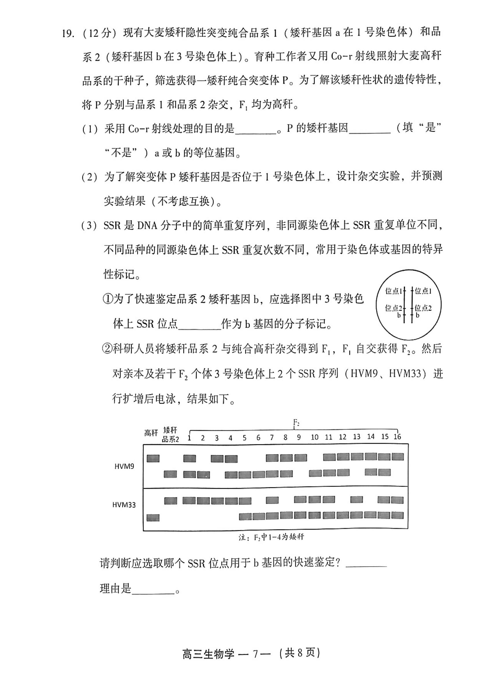 2025긣ݸ죨27-9գ⼰ο