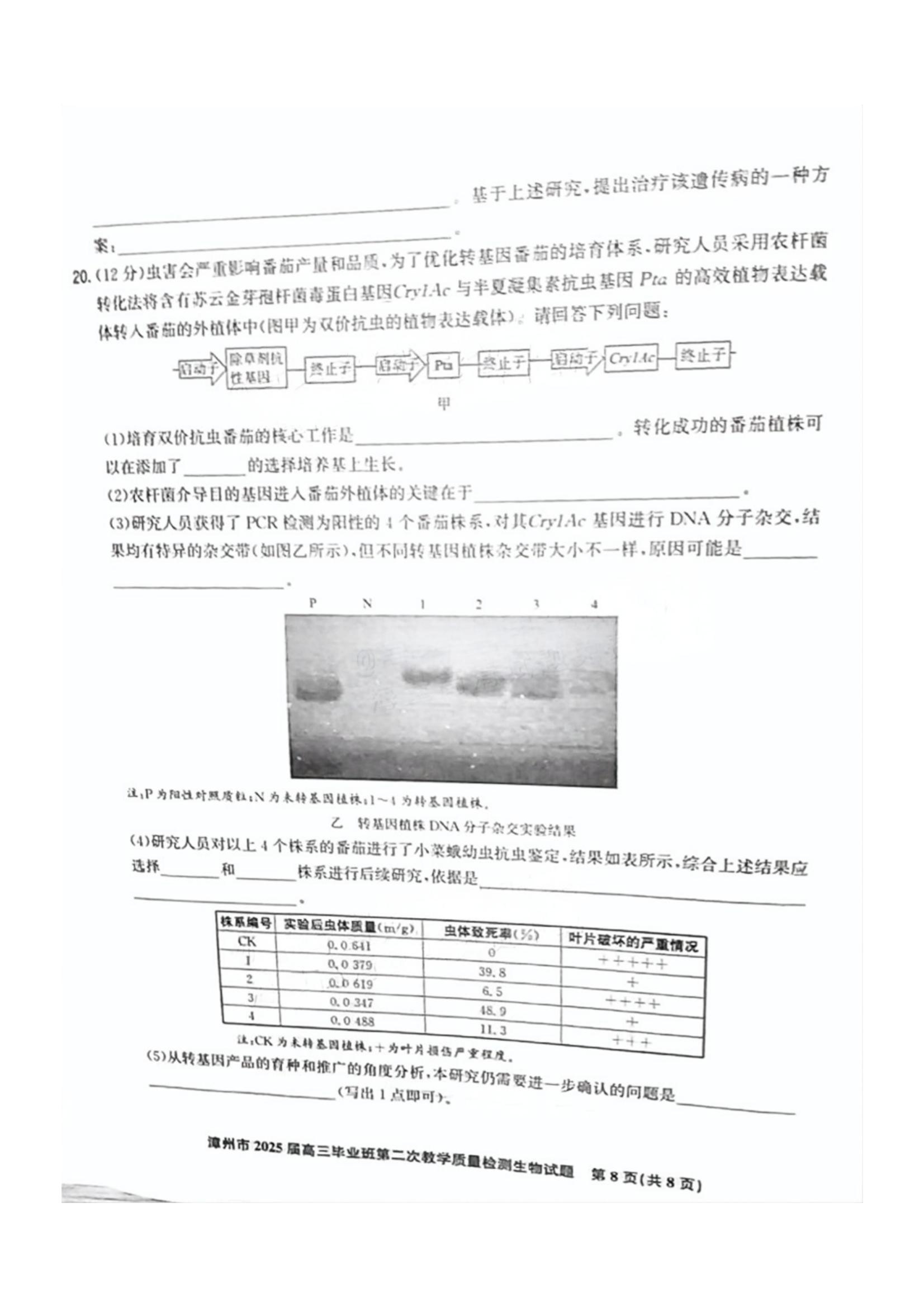 2025ݶ죨1.20-1.21⼰ο