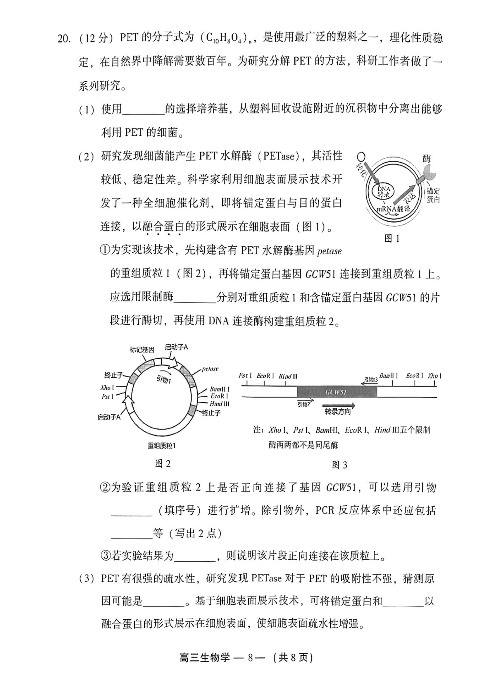 2025긣ݸ죨27-9գ⼰ο