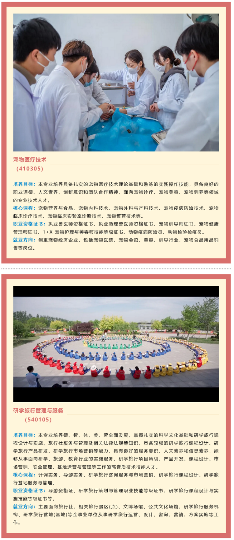 ɽְҵѧԺ2024굥м