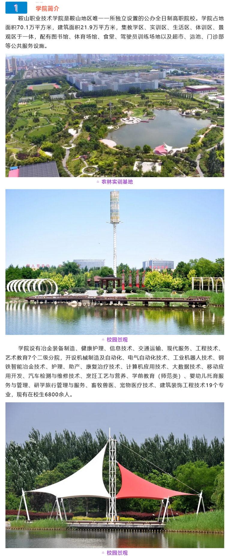 ɽְҵѧԺ2024굥м