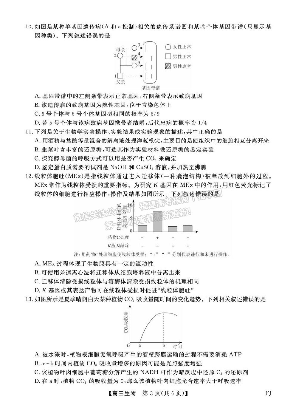 福建省百校2026届高三上学期10月联合测评生物试卷及答案 福建省百校2026届高三上学期10月联合测评生物试卷及答案