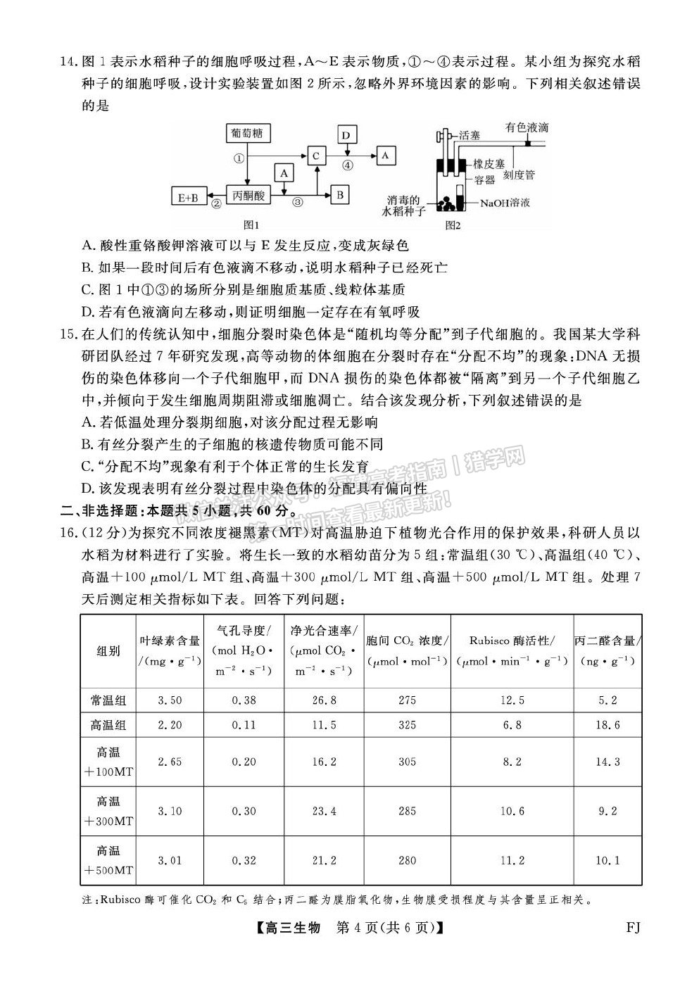 福建省百校2026届高三上学期10月联合测评生物试卷及答案 福建省百校2026届高三上学期10月联合测评生物试卷及答案