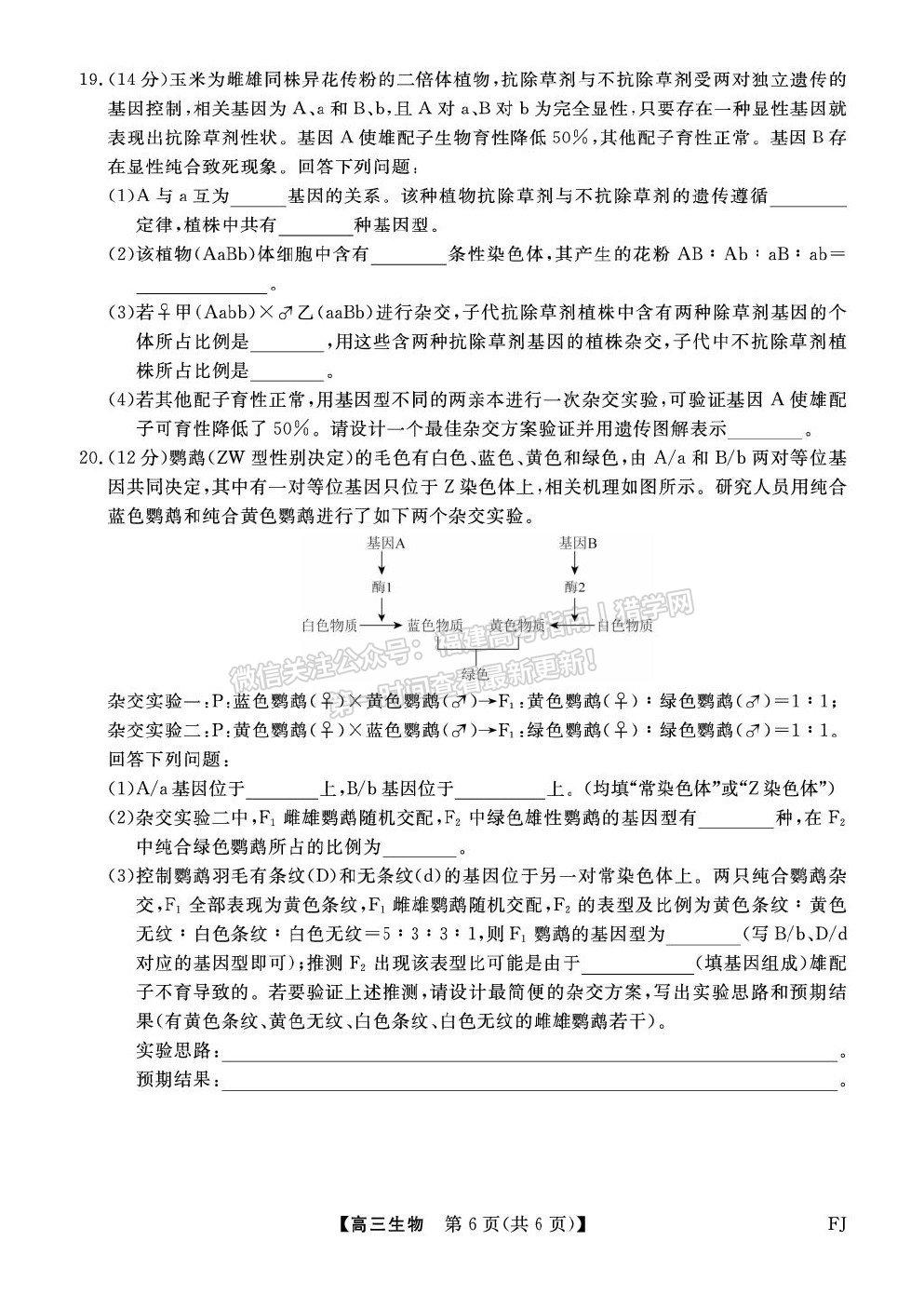 福建省百校2026届高三上学期10月联合测评生物试卷及答案 福建省百校2026届高三上学期10月联合测评生物试卷及答案