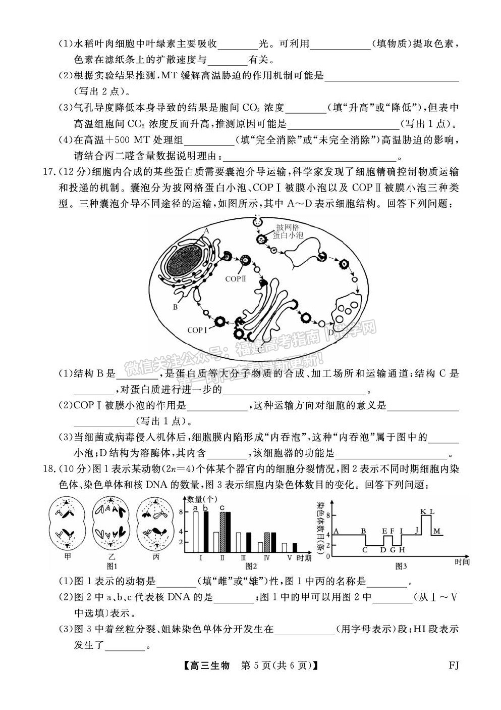 福建省百校2026届高三上学期10月联合测评生物试卷及答案 福建省百校2026届高三上学期10月联合测评生物试卷及答案