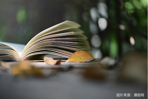 高考留学专业有哪些推荐的?