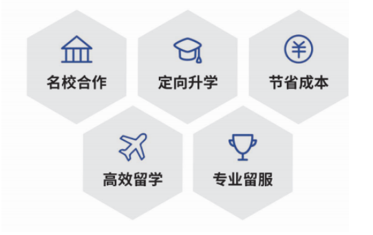 目前可靠的国际本科项目哪个好?