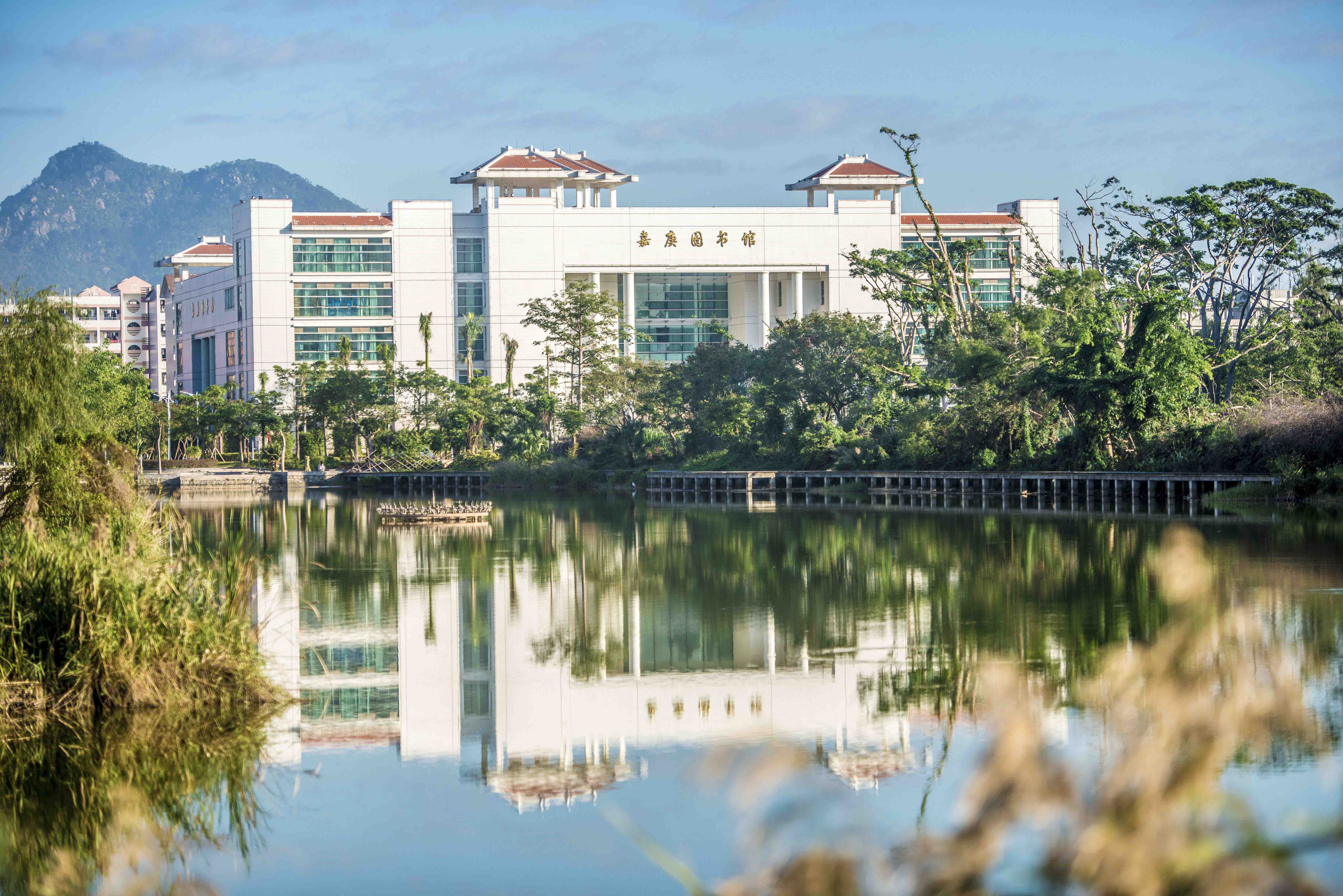 市面上口碑好的国际本科项目哪家好? 市面上口碑好的国际本科项目哪家好?