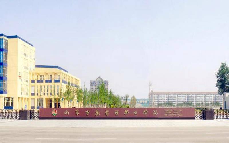 ɽ��������ҽְҵѧԺ