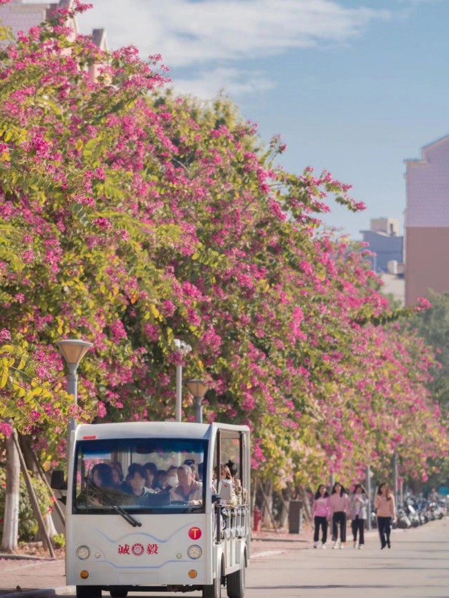 瞄准升学机遇！自考本科为福建中职生“学历+实践”双重增值