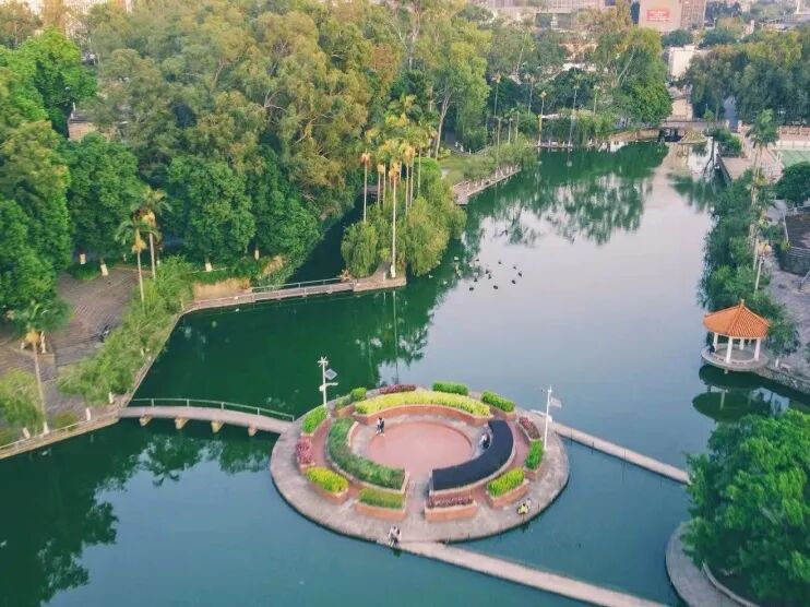 高职分类考试“独木桥”难挤：低录取率下的另一种升学可能