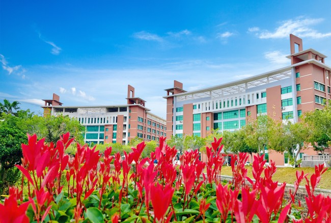 专科生升学路径深度解析：同校同师资的宝藏自考本科