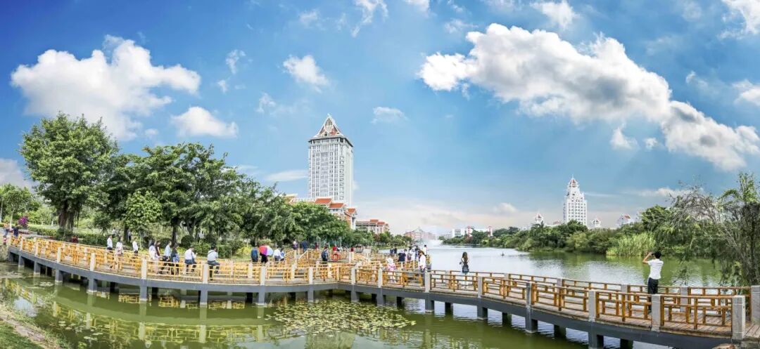 2026年集美大学OYE培养项目（自考体制改革试点专业+国际语言课程）招生简章