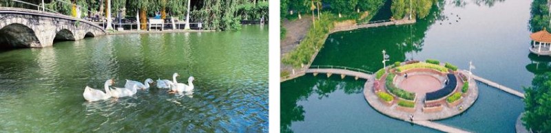 福建专升本竞争激烈?双一流自考本科为你开启学历提升新通道