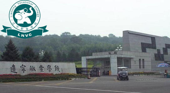 专科一批学校排名_安徽专科幼师学校排名_沈阳专科学校排名